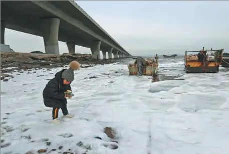  ?? ZHANG JINGANG / FOR CHINA DAILY ?? A young visitor plays in the snow and ice near the Jiaozhou Bay Bridge in Qingdao, Shandong province, on Sunday. Several days of cold weather brought the coastal city its first sea ice of the winter.