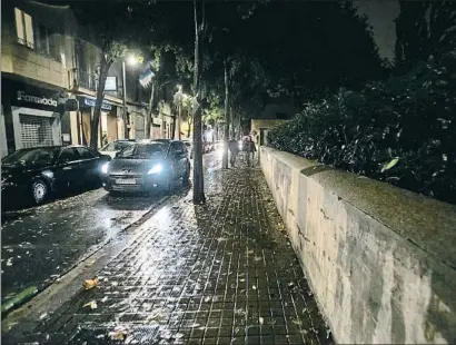  ?? CÉSAR RANGEL ?? Las farolas a un sólo lado y los frondosos árboles llenan de sombras una vía muy transitada por turistas