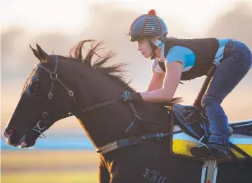  ?? Picture: GETTY IMAGES ?? WORTH TRIP: NSW apprentice Ashleigh Borg will take three rides at Cluden Park. Borg is pictured on Letter To Juliette during a gallop at Hawkesbury earlier this year.