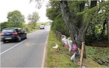  ??  ?? Fatal crash Flowers and messages left at the scene