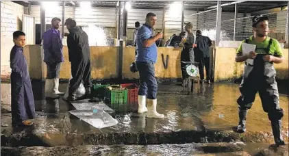  ?? Photograph­s by Nabih Bulos Los Angeles Times ?? FISH WHOLESALER Sinan Duhaimi, center, awaits the morning’s shipment of carp at a dedicated fish market in Baghdad.