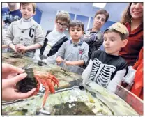  ?? (Photo Michael Alesi) ?? À l’occasion du Carnaval de Nice, les enfants déguisés bénéficien­t d’une entrée gratuite. Ils peuvent découvrir les mystères dumonde sous-marin.