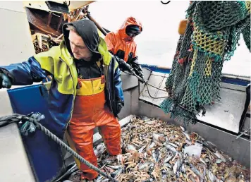  ??  ?? If there is no trade deal between Britain and the EU, French trawlermen will be completely excluded from British waters