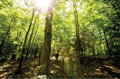  ?? CARLOS OSORIO/TORONTO STAR FILE PHOTO ?? Ontario’s Greenbelt surroundin­g the Greater Golden Horseshoe protects 810,000-hectares of land from developmen­t.