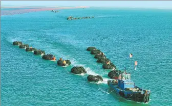  ?? YANG ZHILI / FOR CHINA DAILY ?? A barge tows smalls boats loaded with kelp from a seaweed farm to the fishing pier in Weihai, Shandong province, on Saturday.