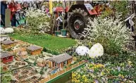  ?? Foto: PR/ Messe Dresden/Frank Grätz ?? Blumen, wohin das Auge blickt: Die Frühjahrsm­esse „Dresdner Ostern“beginnt an diesem Donnerstag.