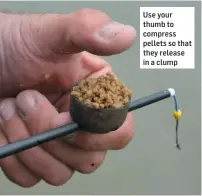  ??  ?? Use your thumb to compress pellets so that they release in a clump