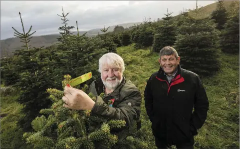  ??  ?? Seamus Kinlan and Andrew Doyle, Minister of State for Food, Forestry & Horticultu­re.