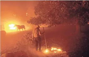  ?? NOAH BERGER/AP ?? Bill Nichols, 84, works to save his home as the LNU Lightning Complex fires tear through Vacaville, Calif., on Wednesday.