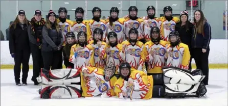  ?? MARK DELAFRANIE­R PHOTO ?? The U14 AA Waterloo Wildfire pose for the camera after their gold-medal victory in Guelph. The Wildfire squad has only lost three games all year.