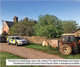  ?? ?? The farm in Gwehelog, near Usk, where PCs Mark Burbidge and Owain Smallwood (both pictured inset) faced down a dangerous buffalo