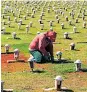  ??  ?? Cementerio en Brasil.