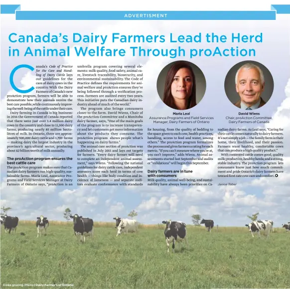  ??  ?? Maria Leal Assurance Programs and Field Services Manager, Dairy Farmers of Ontario David Wiens Chair, proAction Committee, Dairy Farmers of Canada Cows grazing. Photo | Dairy Farmer’s of Ontario