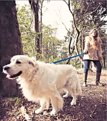  ??  ?? Taking the strain away: Debora Robertson with her dogs, Gracie and Barney, below; a golden retriever in the great outdoors, above