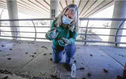  ?? Photos by Steve Gonzales / Staff photograph­er ?? Diana Foss, a Texas Parks and Wildlife biologist, looks for surviving Mexican free-tailed bats under the Waugh Bridge.