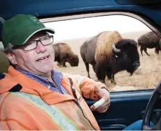  ??  ?? Bison are indigenous to the prairies and are particular­ly suited to the weather. Les Kroeger is the owner of Rosedale Bison, a Saskatchew­an herd.