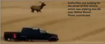  ?? ?? Authoritie­s are looking for the driver of this vehicle which was stalking two elk near Willow Bunch. Photo contribute­d