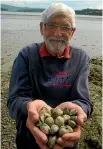  ??  ?? Marine biologist John Wells with wife Margery beside the Pauatahanu­i Inlet and, left, counting cockles in the inlet in 2010.