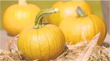  ?? MORNING CALL FILE PHOTO ?? Hausman’s Fruit Farm in Coopersbur­g will hold is Fall Festival starting Sept. 27 and running each Saturday and Sunday from 10 a.m.-5 p.m.