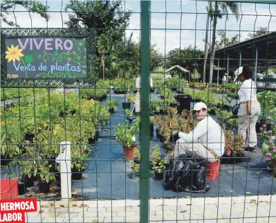  ??  ?? HERMOSA
LABOR
El producto del trabajo de los jóvenes no solo embellece el parque, sino que aporta a la decoración de otras áreas verdes de la capital.