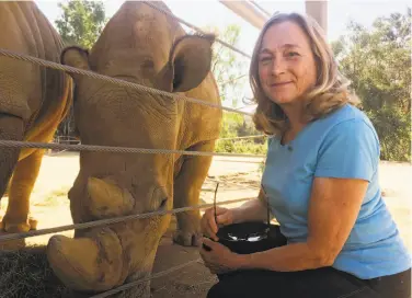  ?? Julie Watson / Associated Press ?? Barbara Durrant, director of reproducti­ve sciences at the San Diego Zoo Institute for Conservati­on Research, visits with Victoria, a pregnant southern white rhino, at San Diego Zoo Safari Park in Escondido.