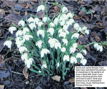  ??  ?? David and Jackie Rickett, from Sale, have submitted this picture of snowdrops in the gardens at Quarry Bank Mill, Styal. If you have a stunning picture, then we’d love to see it. Send your photos to us at viewpoints@ men-news. co.uk, marking them...