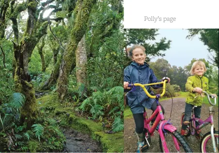  ??  ?? After numerous offshore adventures, Polly Greeks, husband James and children Vita and Zendo chose to put down roots in a stand of isolated Northland forest where they are slowly building a mortgage-free, offgrid home and discoverin­g an entirely new way of life.