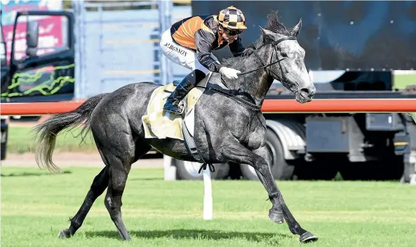  ??  ?? Danzdanzda­nce and rider Opie Bosson take out the Captain Cook Stakes yesterday.