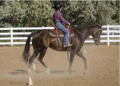  ??  ?? TOP LEFT: Pick up an energetic trot and plan your approach into the cones. TOP RIGHT: Strive to maintain a steady stride and a consistent frame as you navigate the cones. BOTTOM LEFT: The frequent bending required by this exercise will loosen your horse’s jaw, neck, shoulders, and ribs.