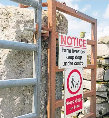  ??  ?? LOCKDOWN LEISURE: More owners are walking their dogs in the countrysid­e these days.