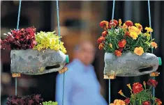  ??  ?? Second bloom: old milk bottles become hanging baskets at a Manchester garden festival