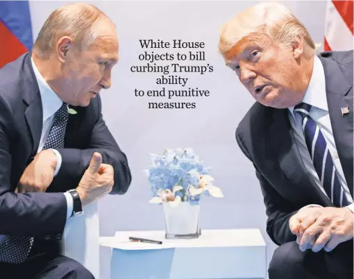  ?? EVAN VUCCI, AP ?? Presidents Trump and Vladimir Putin confer at the G- 20 summit this month in Hamburg.