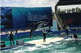  ?? ?? The Miami Seaquarium in 2019. Photograph: Richard Tribou/Orlando Sentinel via Getty Images