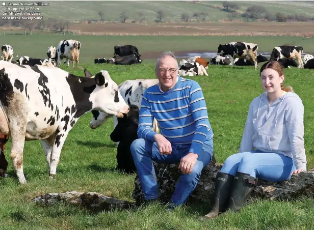  ?? ?? Farmer William Williams with apprentice Ffion Griffiths with his dairy herd in the background