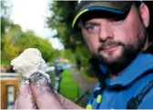  ??  ?? Small nuggets of bread are fed over an area of a square metre area to get the fish competing