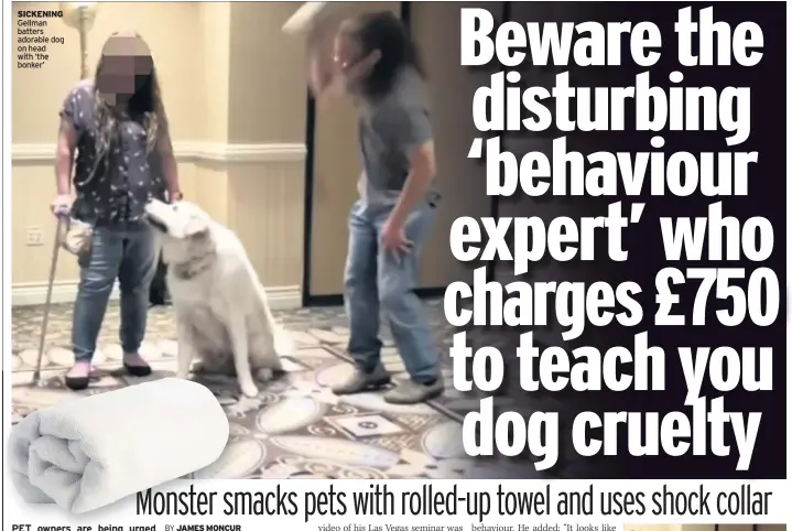  ??  ?? SICKENING Gellman batters adorable dog on head with ‘the bonker’