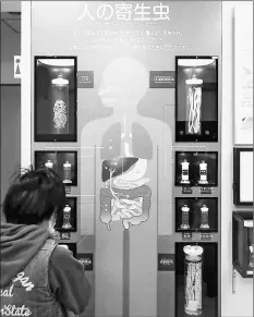  ??  ?? An illustrati­on alongside specimens shows common parasites and the human body parts they inhabit.