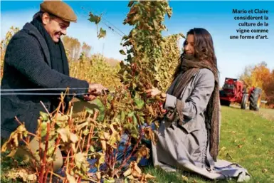  ??  ?? Mario et Claire considèren­t la culture de la vigne comme une forme d’art.