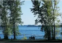  ?? TYREL FEATHERSTO­NE, GAZETTE FILES ?? A couple seated on a bench enjoys the scenery on the southweste­rn shore of Nuns’ Island. Proment Corp., one of the area’s biggest developers, has gone to considerab­le effort to keep the neighbourh­ood as green as possible, combining energy-efficient...