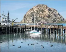  ??  ?? SOUTHERN sea otters — which don’t eat fish — are a familiar sight to locals in one of California’s last working-class beach communitie­s.