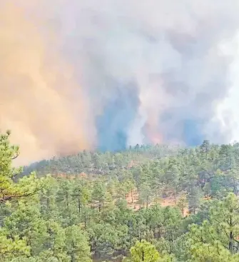  ?? / CHRISTIAN BAEZA ?? La escalada de incendios forestales en el territorio estatal detonó la activación del Plan DN III.