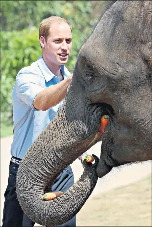  ?? GETTY ?? ‘The prince we have watched growing up’: the Duke of Cambridge visits an elephant sanctuary in Xishuangba­nna