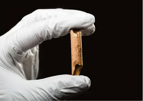  ?? Foto: V. Marquardt/Uni Tübingen ?? Wertvoller Fund von der Schwäbisch­en Alb: Das Fragment stammt von einer Flöte aus Gänsegeier­knochen und ist etwa 40000 Jahre alt.