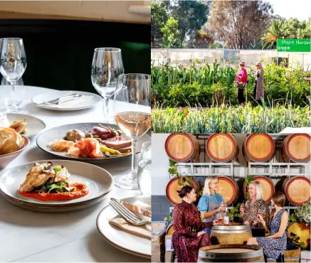  ??  ?? Opposite page, clockwise from top left: Harvest Food and Wine; Dja Dja Wurrung Tram; Indulge Fine Belgian Chocolates; Hoo-Gah; Bluebird Patisserie; Mackenzie Quarters.
This page, clockwise from top left: Ms Batterhams; PepperGeen Farms; Ellis Wines.