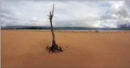  ?? PICTURE: EPA ?? A view of the critically low Theewaters­kloof Dam in Villiersdo­rp on Wednesday. It is the single biggest dam supplying water to the metropole of Cape Town. The City of Cape Town figures put the dam at 35.2% full on Monday.