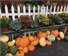  ?? JANET PODOLAK -- THE NEWS-HERALD ?? Pumpkins and squash of all varieties are displayed at Sunrise Farm in Burton.