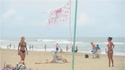  ?? ANDRÉS D’ELÍA ?? Bandera de tapioca. La advertenci­a blanca y violeta flameó ayer en las playas de Pinamar.