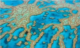  ?? Photograph: Michele Falzone/Alamy ?? The Great Barrier Reef, one of far north Queensland’s most popular tourist attraction­s.