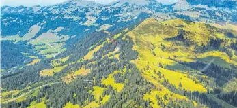  ?? FOTO: RALF LIENERT ?? Am Riedberger Horn im Oberallgäu ist ein Schneiteic­h geplant.