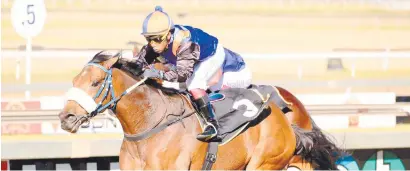  ??  ?? RARE VISIT: Western Cape-based Donovan Dillon has some decent rides at Turffontei­n on Saturday, with most jockeys riding at Greyville, and Tirzan, in Race 6, could be the one to follow.